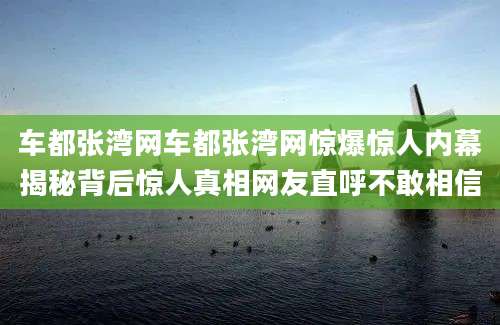 车都张湾网车都张湾网惊爆惊人内幕揭秘背后惊人真相网友直呼不敢相信