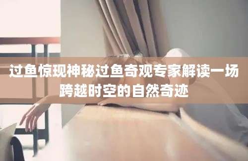 过鱼惊现神秘过鱼奇观专家解读一场跨越时空的自然奇迹
