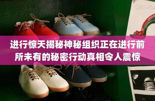 进行惊天揭秘神秘组织正在进行前所未有的秘密行动真相令人震惊