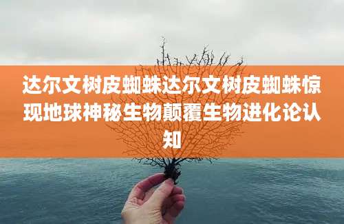 达尔文树皮蜘蛛达尔文树皮蜘蛛惊现地球神秘生物颠覆生物进化论认知