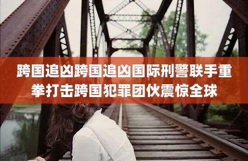 跨国追凶跨国追凶国际刑警联手重拳打击跨国犯罪团伙震惊全球
