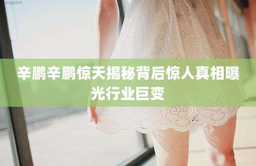 辛鹏辛鹏惊天揭秘背后惊人真相曝光行业巨变