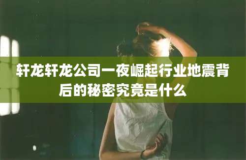 轩龙轩龙公司一夜崛起行业地震背后的秘密究竟是什么