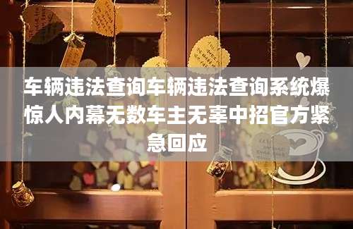 车辆违法查询车辆违法查询系统爆惊人内幕无数车主无辜中招官方紧急回应