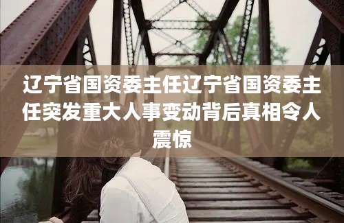 辽宁省国资委主任辽宁省国资委主任突发重大人事变动背后真相令人震惊