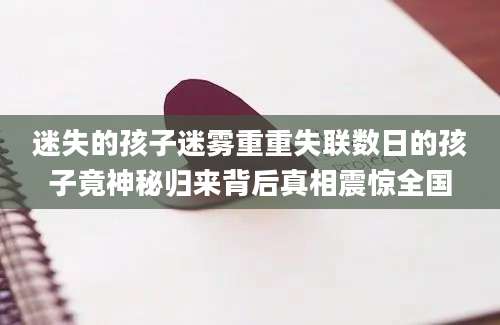 迷失的孩子迷雾重重失联数日的孩子竟神秘归来背后真相震惊全国