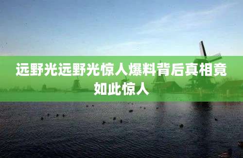 远野光远野光惊人爆料背后真相竟如此惊人