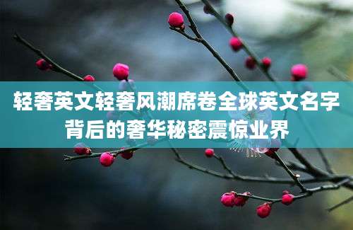 轻奢英文轻奢风潮席卷全球英文名字背后的奢华秘密震惊业界