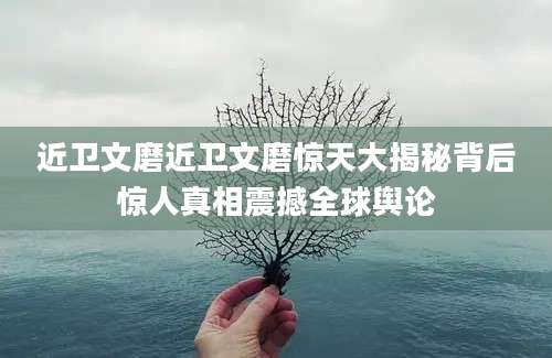 近卫文磨近卫文磨惊天大揭秘背后惊人真相震撼全球舆论