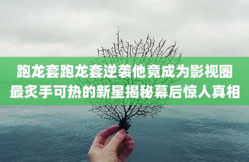 跑龙套跑龙套逆袭他竟成为影视圈最炙手可热的新星揭秘幕后惊人真相