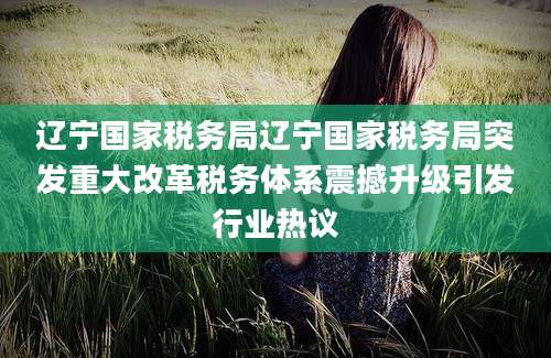 辽宁国家税务局辽宁国家税务局突发重大改革税务体系震撼升级引发行业热议