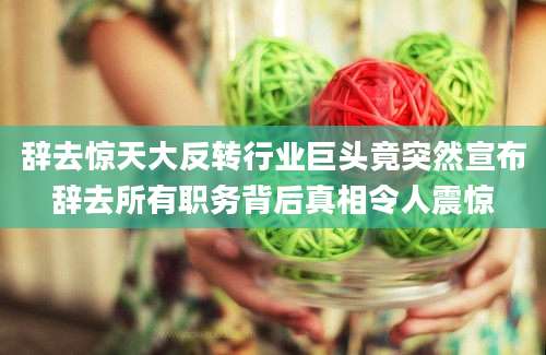 辞去惊天大反转行业巨头竟突然宣布辞去所有职务背后真相令人震惊