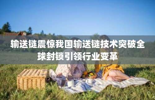 输送链震惊我国输送链技术突破全球封锁引领行业变革