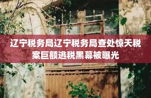 辽宁税务局辽宁税务局查处惊天税案巨额逃税黑幕被曝光