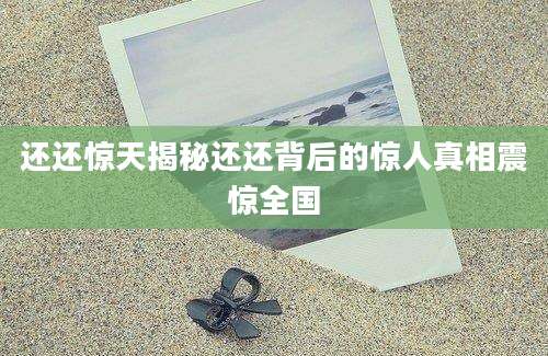 还还惊天揭秘还还背后的惊人真相震惊全国