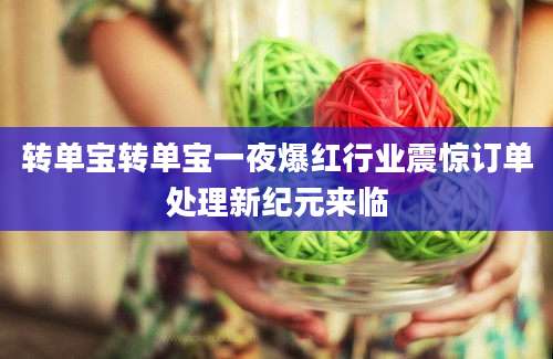 转单宝转单宝一夜爆红行业震惊订单处理新纪元来临