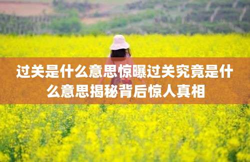 过关是什么意思惊曝过关究竟是什么意思揭秘背后惊人真相