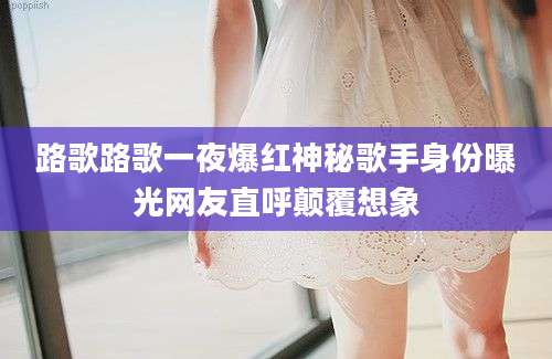 路歌路歌一夜爆红神秘歌手身份曝光网友直呼颠覆想象