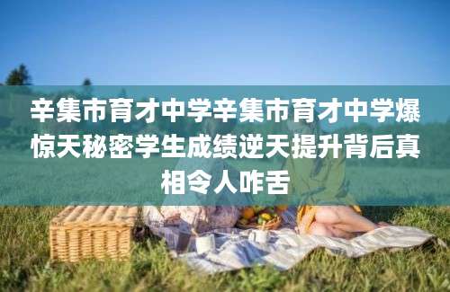 辛集市育才中学辛集市育才中学爆惊天秘密学生成绩逆天提升背后真相令人咋舌