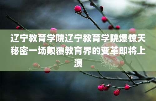 辽宁教育学院辽宁教育学院爆惊天秘密一场颠覆教育界的变革即将上演