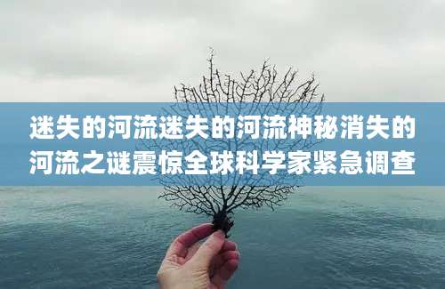 迷失的河流迷失的河流神秘消失的河流之谜震惊全球科学家紧急调查