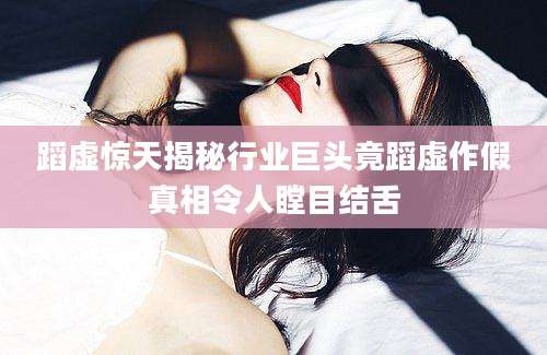 蹈虚惊天揭秘行业巨头竟蹈虚作假真相令人瞠目结舌