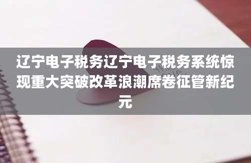 辽宁电子税务辽宁电子税务系统惊现重大突破改革浪潮席卷征管新纪元