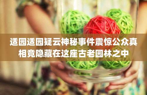 适园适园疑云神秘事件震惊公众真相竟隐藏在这座古老园林之中