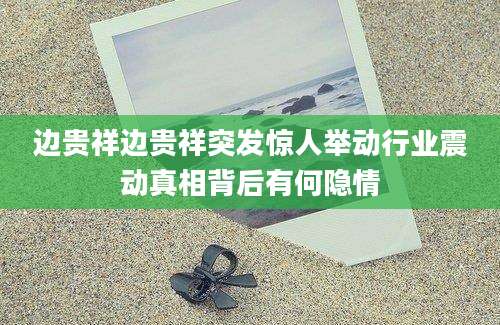 边贵祥边贵祥突发惊人举动行业震动真相背后有何隐情