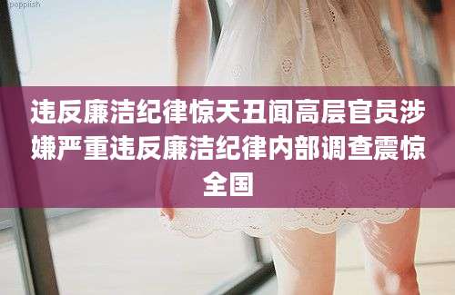 违反廉洁纪律惊天丑闻高层官员涉嫌严重违反廉洁纪律内部调查震惊全国