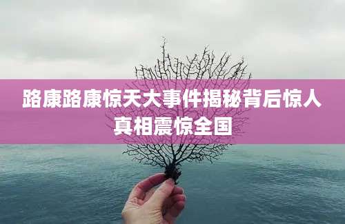 路康路康惊天大事件揭秘背后惊人真相震惊全国