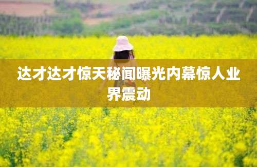 达才达才惊天秘闻曝光内幕惊人业界震动