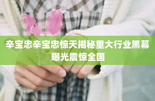 辛宝忠辛宝忠惊天揭秘重大行业黑幕曝光震惊全国