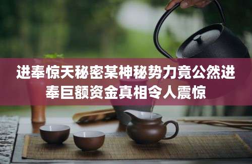 进奉惊天秘密某神秘势力竟公然进奉巨额资金真相令人震惊
