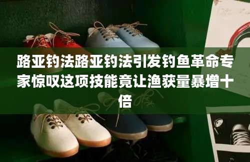 路亚钓法路亚钓法引发钓鱼革命专家惊叹这项技能竟让渔获量暴增十倍