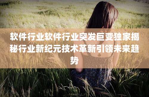软件行业软件行业突发巨变独家揭秘行业新纪元技术革新引领未来趋势