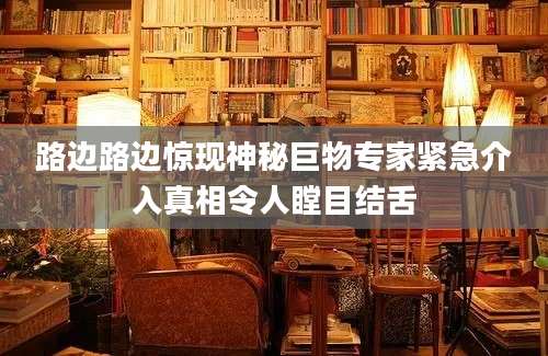 路边路边惊现神秘巨物专家紧急介入真相令人瞠目结舌
