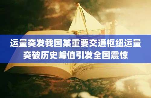 运量突发我国某重要交通枢纽运量突破历史峰值引发全国震惊
