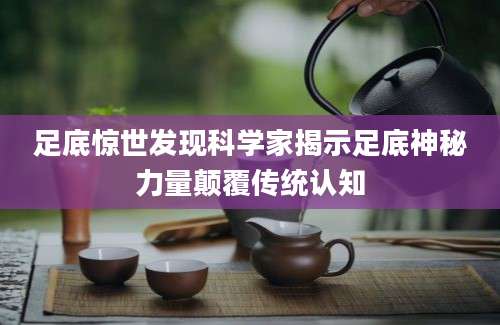 足底惊世发现科学家揭示足底神秘力量颠覆传统认知