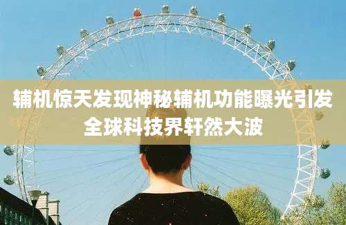 辅机惊天发现神秘辅机功能曝光引发全球科技界轩然大波