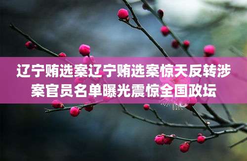 辽宁贿选案辽宁贿选案惊天反转涉案官员名单曝光震惊全国政坛