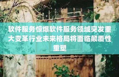 软件服务惊爆软件服务领域突发重大变革行业未来格局将面临颠覆性重塑