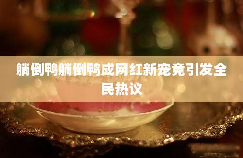 躺倒鸭躺倒鸭成网红新宠竟引发全民热议