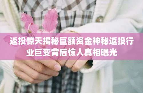 返投惊天揭秘巨额资金神秘返投行业巨变背后惊人真相曝光