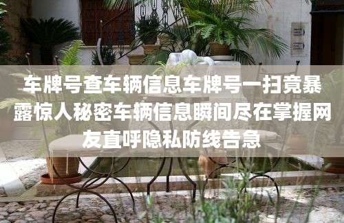 车牌号查车辆信息车牌号一扫竟暴露惊人秘密车辆信息瞬间尽在掌握网友直呼隐私防线告急