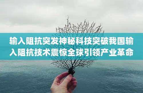 输入阻抗突发神秘科技突破我国输入阻抗技术震惊全球引领产业革命