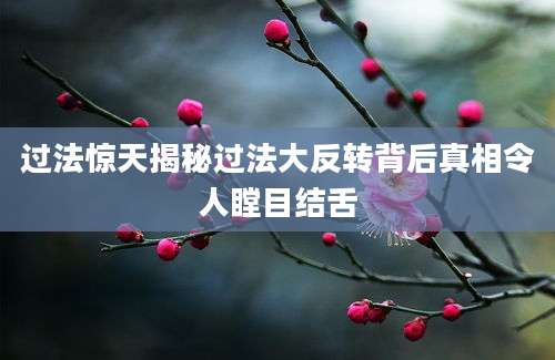 过法惊天揭秘过法大反转背后真相令人瞠目结舌