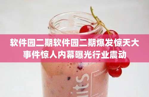 软件园二期软件园二期爆发惊天大事件惊人内幕曝光行业震动