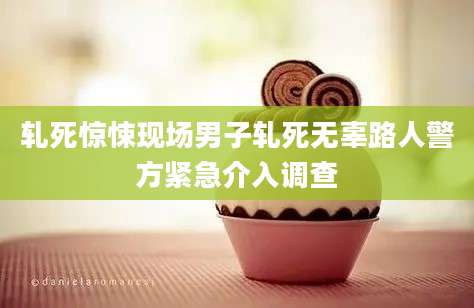 轧死惊悚现场男子轧死无辜路人警方紧急介入调查