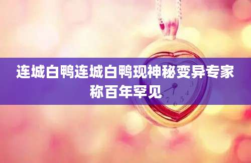 连城白鸭连城白鸭现神秘变异专家称百年罕见